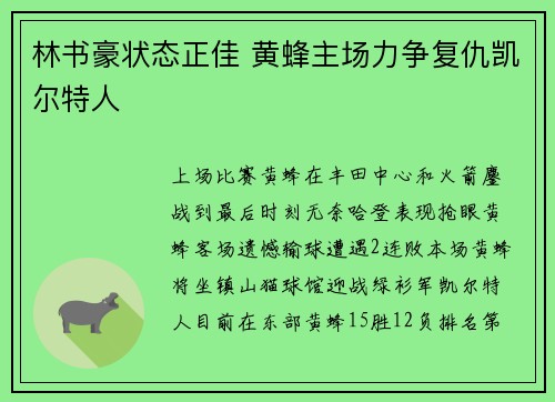 林书豪状态正佳 黄蜂主场力争复仇凯尔特人